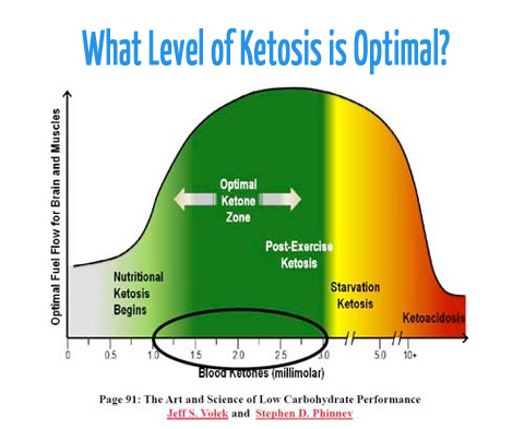 I’ve heard that Ketones are bad. Why would I want them in my body?